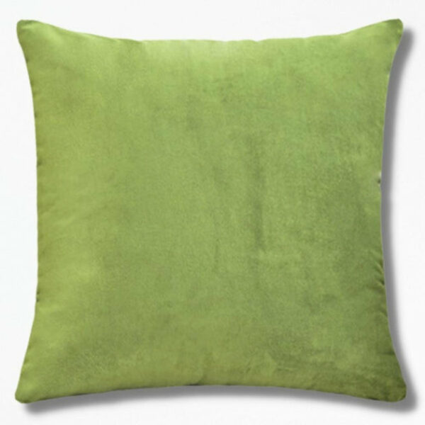 Beau Coussin en Velours DreamVelCushion