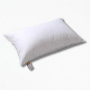 Coussin Rembourrage en Plume D’oie DownyDelight