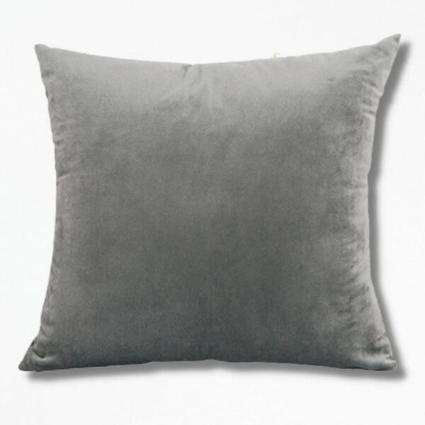 Coussin en Velours SoftSuede