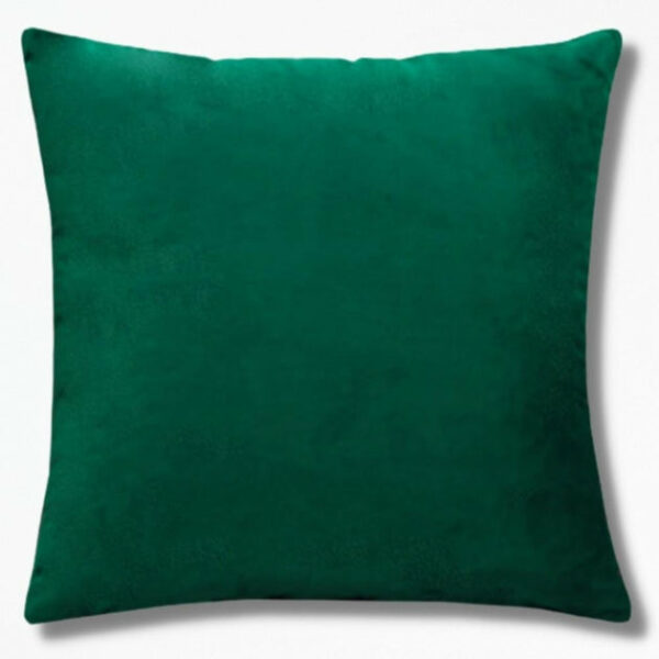 Coussin en VeloursVelouriaCushion